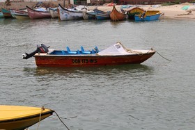 Sugar Plum Macedo Palms