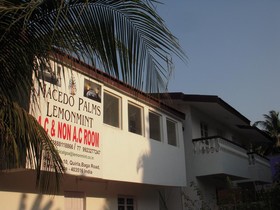 Sugar Plum Macedo Palms