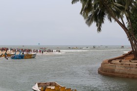 Sugar Plum Macedo Palms