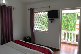 Sugar Plum Macedo Palms