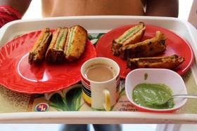 Sugar Plum Macedo Palms