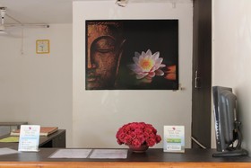 Sugar Plum Macedo Palms