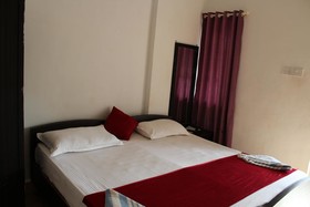 Sugar Plum Macedo Palms