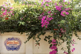 Golden Sands Apartments