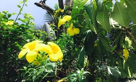 Kyriad Prestige Calangute Goa By Othpl