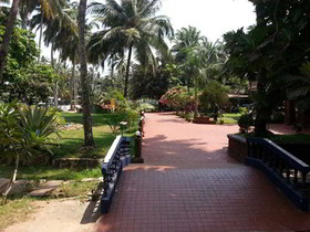 Palm Resort