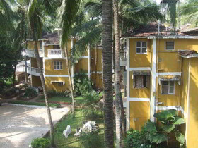 Palm Resort