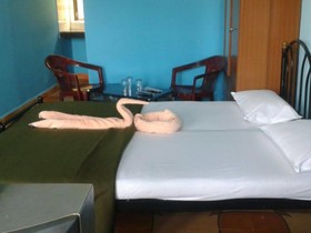 Salson Ferns Nest Hotel