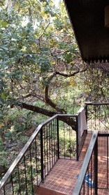 Castle House Palolem