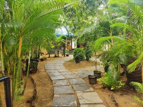 Patnem Palm Garden