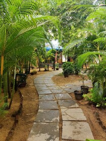 Patnem Palm Garden