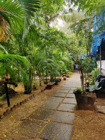 Patnem Palm Garden