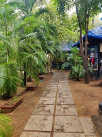 Patnem Palm Garden