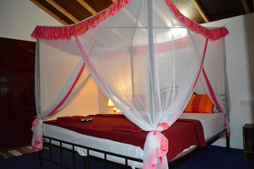Roundcube Beach Bungalows