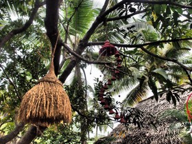 The Palm Trees Resort