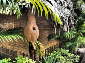 The Palm Trees Resort