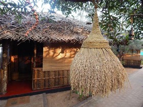 The Palm Trees Resort