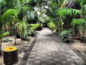 The Palm Trees Resort