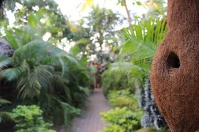 The Palm Trees Resort