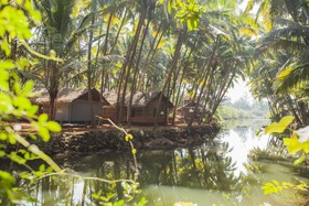 The Palm Trees Resort