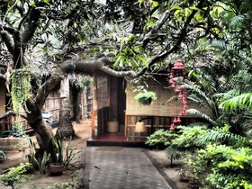 The Palm Trees Resort