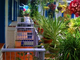 Zappia Cove Eco Resort