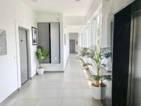 Amogios Candolim Beach