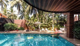 Cygnett Lite Celestiial Goa