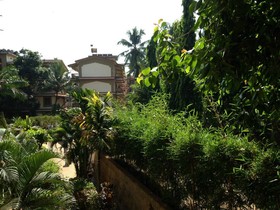 Lillywoods Highland Beach Resort