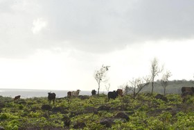 Fort Tiracol Heritage Hotel