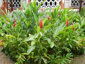 Quinta Da Graca