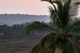 Moustache Goa Cowork Hostel