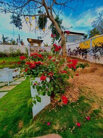 Tvessa A Boutique Hotel Goa
