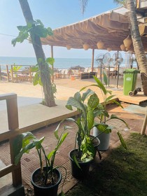 Ukiyo Beach Resort