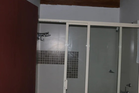 Shangri-La Jungle Resort