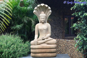 Shangri-La Jungle Resort