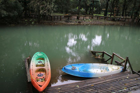 Shangri-La Jungle Resort