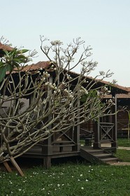 Eco Woods Village