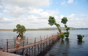 Safira River Front Resort