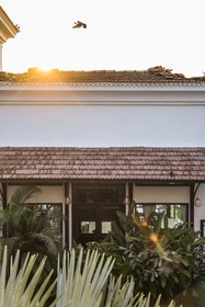 Sol De Goa by Sereno