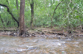 Mangaal Farmstay Goa