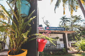 Piggy Hostel Vagator