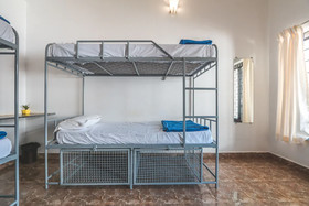 Piggy Hostel Vagator