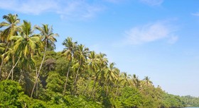 The Grand Leoney Resort