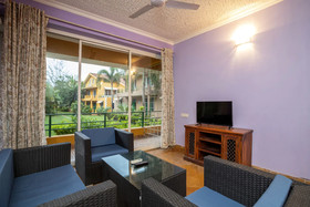 Serenity by The Origami Collection