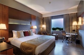 Royal Orchid Central, Vadodara