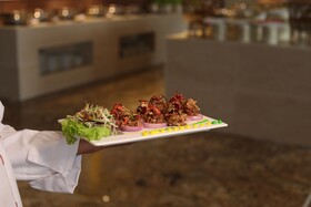 Regenta Central, City Vilas Palace, Ambala