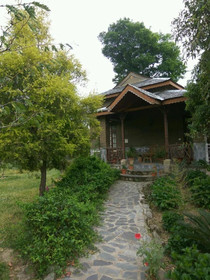 Blossoms Village Resort
