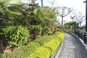 Dhauladhar Heights Resort