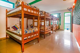 goSTOPS McLeod Ganj